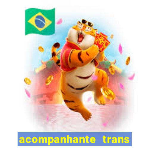 acompanhante trans baixada fluminense